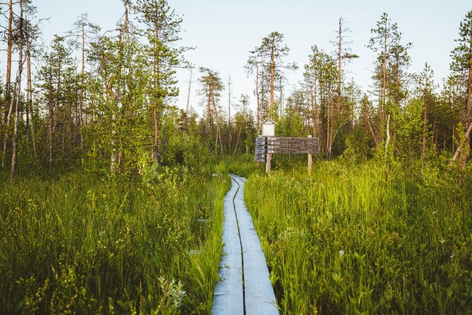 2.5 Hours Hike in Vaattunkikongas Forest Trail - Trail Difficulty