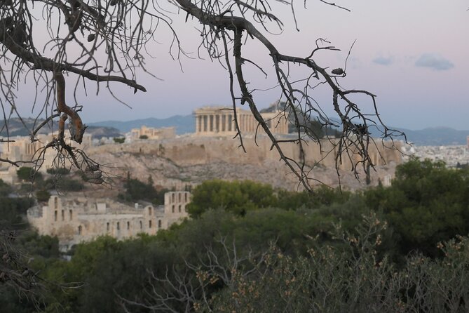 2.5 Hours Private Philosphical Tour in Athens - Inclusions