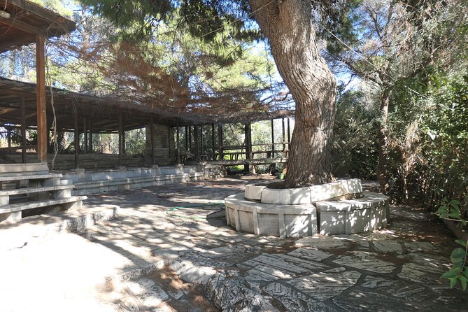 2.5 Hours Private Philosphical Tour in Athens - Reviews and Pricing