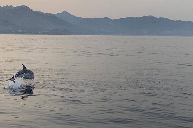 2.5 Hours Sunset Tour With Aperitif in Search of Dolphins - The Sum Up