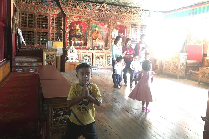 2.5 Hours Visit to Mountain Museum by Private Car - Overview and Inclusions