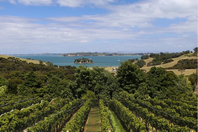2.5 Hours Wine Tour in Waiheke Island for Cruise Ship Travelers - Duration and Meeting Point