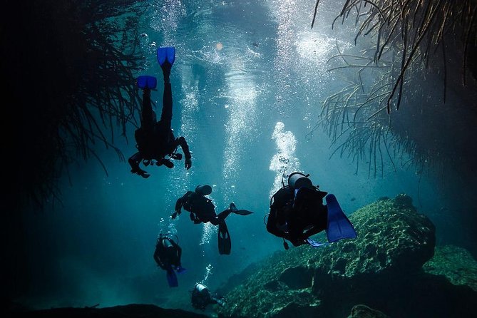 2 Cenote Divings (Including One Deep Diving) for Advanced Divers in Tulum - Common Questions