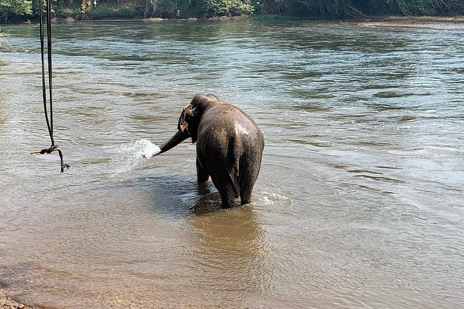 2 Day 1 Night Elephant World Kanchanaburi From Bangkok - Directions