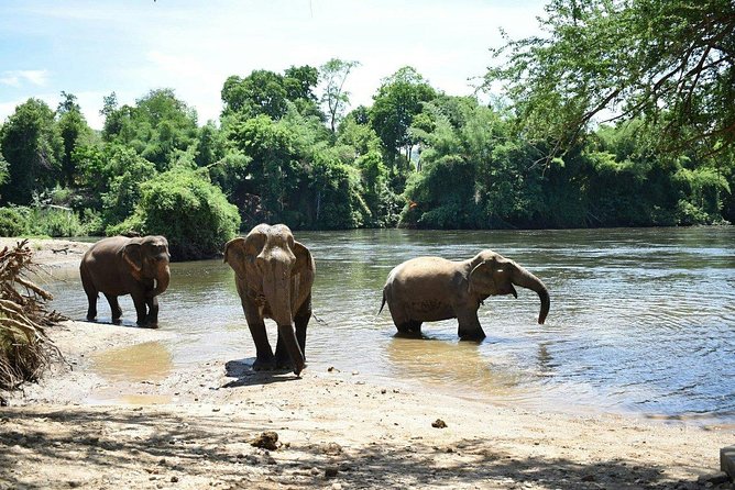 2 Day 1 Night Elephant World Kanchanaburi From Bangkok - Common Questions