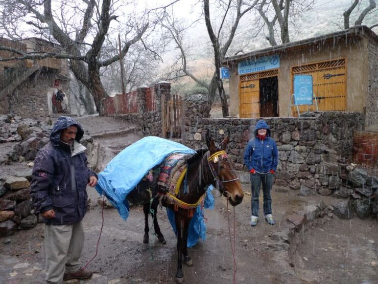 2-Day, 1-Night Express Ascent Trek to Mt. Toubkal - Reservation and Payment Options