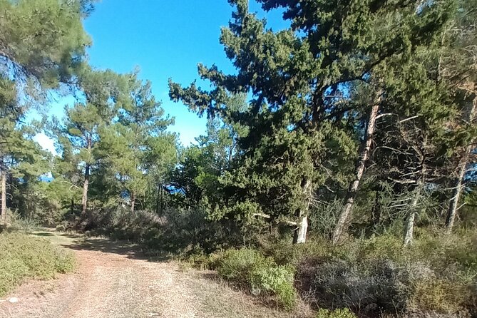 2 Day & 1 Night Private Nature Walking in Unspoilt Kyrenia Range - Accommodation Information