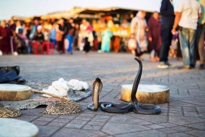 2 Day 1 Night Trip to Marrakech From Agadir - Pricing and Cancellation Policy