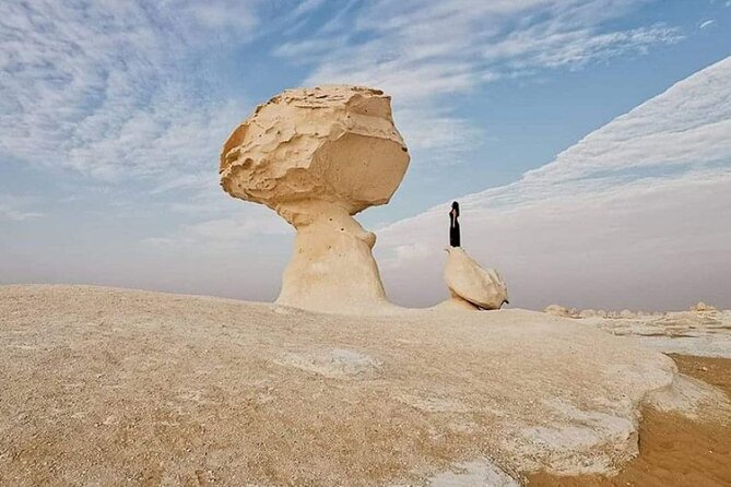 2 Day 1 Night White Desert & Bahariya Oasis - Essential Information