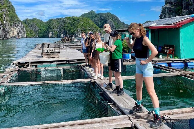 2-Day Adventure Cat Ba Archipelago, Viet Hai Village & Lan Ha Bay - Who Will Enjoy This Tour?