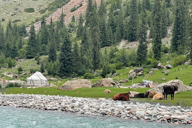 2-Day Adventure Yssyk Kul lake, Canyon, Yurt Stay and Eagle Show - Who Should Consider This Tour?
