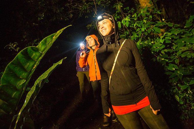 2-Day All Inclusive Guided Jungle Tour From Iquitos at Maniti Eco-Lodge - Accommodations and Wildlife