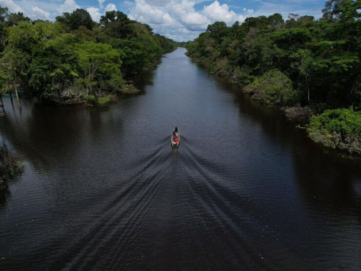 2-Day All Inclusive Guided Jungle Tour From Iquitos - Activities Included