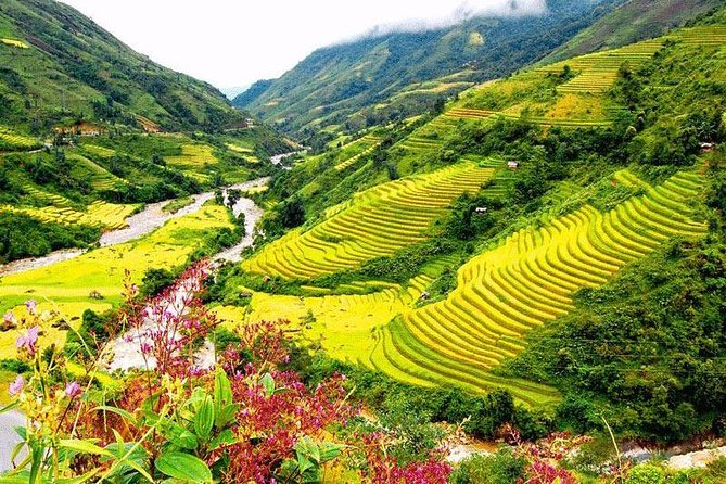 2-Day Amazing Sapa Trek With Sleeper Train From Hanoi - Overnight At Homestay - Booking and Cancellation Policy
