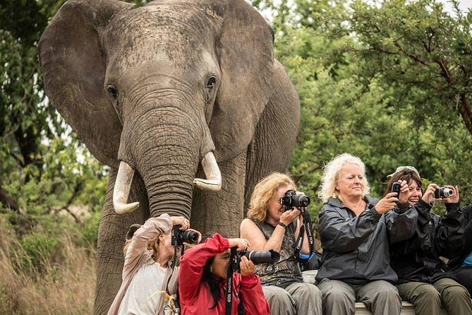 2-Day Amboseli National Park Safari From Nairobi - Free Airport Pick up - Inclusions and Exclusions