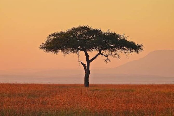 2-Day Amboseli National Park Safari From Nairobi - Free Airport Pick up - Frequently Asked Questions