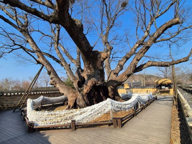 2-Day Andong and Gyeongju UNESCO Tour from Andong - Final Thoughts