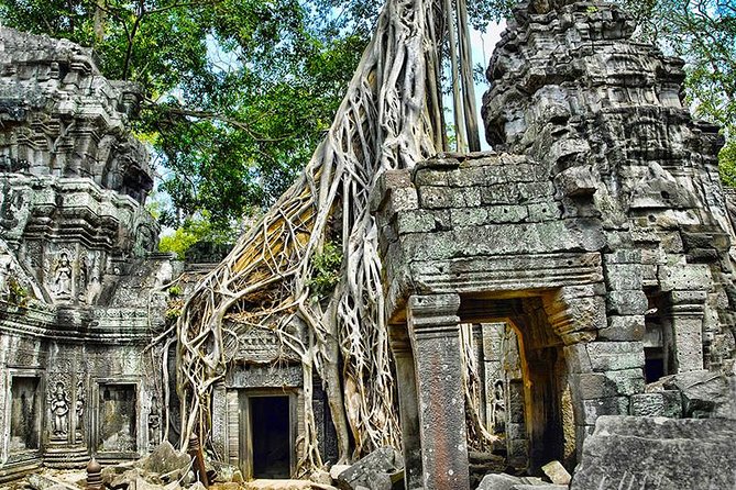 2-Day Angkor Wat, Ta Prohm, Bayon Temples & Tonle Sap Lake Tour - Reviews Summary