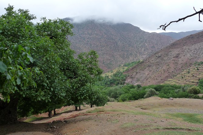 2-Day Atlas Mountain Trekking Tour From Marrakech - Customer Reviews and Ratings