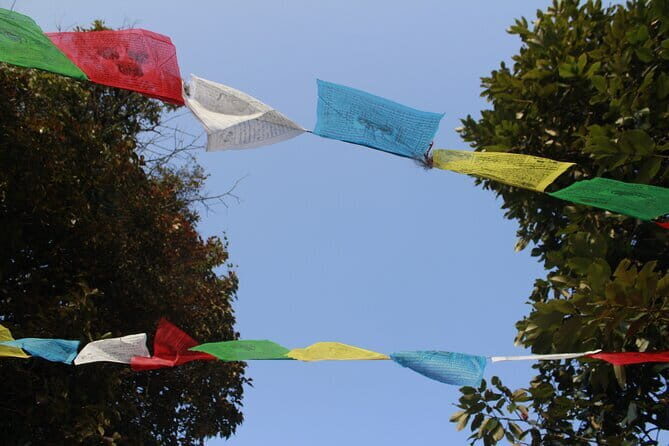 2 Day Australian Camp Hiking with Half Day White Water Rafting - Who Will Love This Tour?