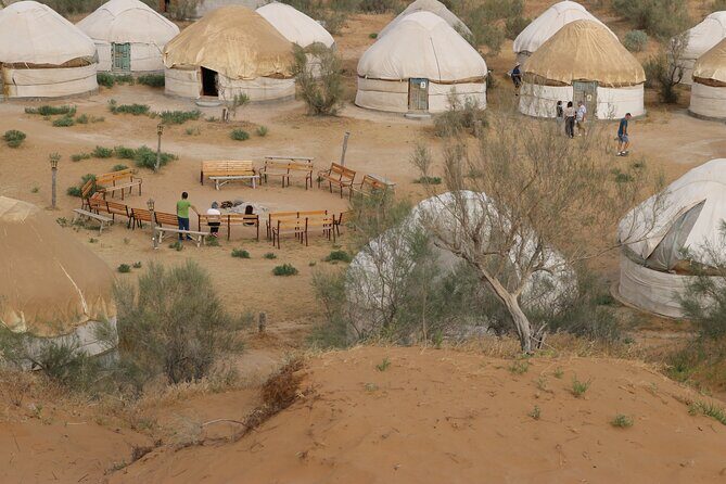 2 Day Aydar Lake Yurt Camping Tour from Bukhara - Good To Know