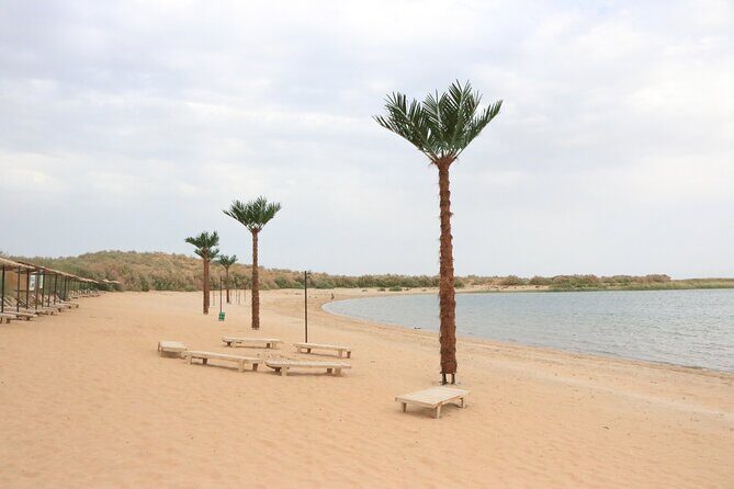 2 Day Aydar Lake Yurt Camping Tour from Bukhara - Day 2: Yurt Life, Camel Rides, and Desert Nights