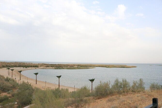 2 Day Aydar Lake Yurt Camping Tour from Samarkand - An In-Depth Look at the Experience