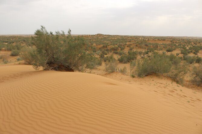 2 Day Aydar Lake Yurt Camping Tour from Samarkand - FAQs About the Aydar Lake Yurt Camping Tour