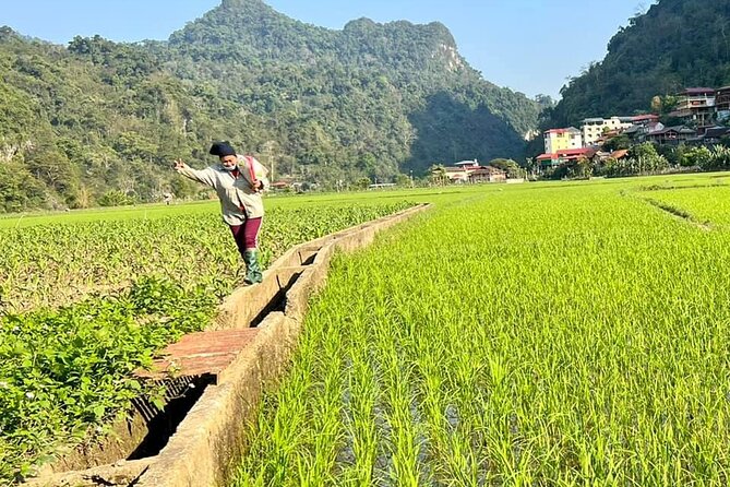 2-Day Ba Be Lake With Boat Trip, Swimming, Kayaking And Cycling - Cycling Exploration