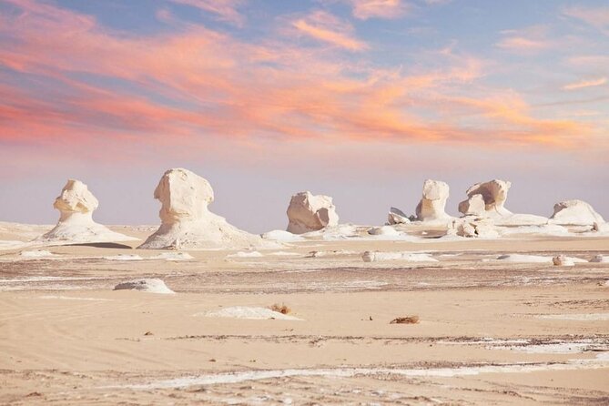 2-Day Bahariya Oasis Camp and Desert Tour From Cairo - Price, Booking, and Inclusions