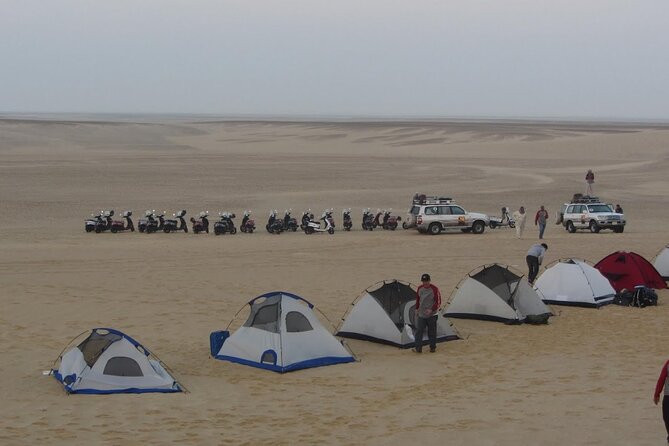 2 Day Bahariya Oasis White Desert Tour - Reviews