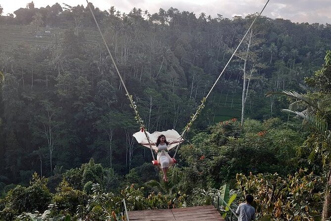 2-Day Bali Highlights Dolphin and Ubud Private Guided Tour - Tour Itinerary Overview