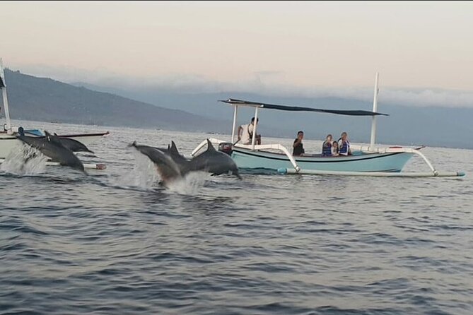 2-Day Bali Highlights Dolphin and Ubud Private Guided Tour - Inclusions and Exclusions