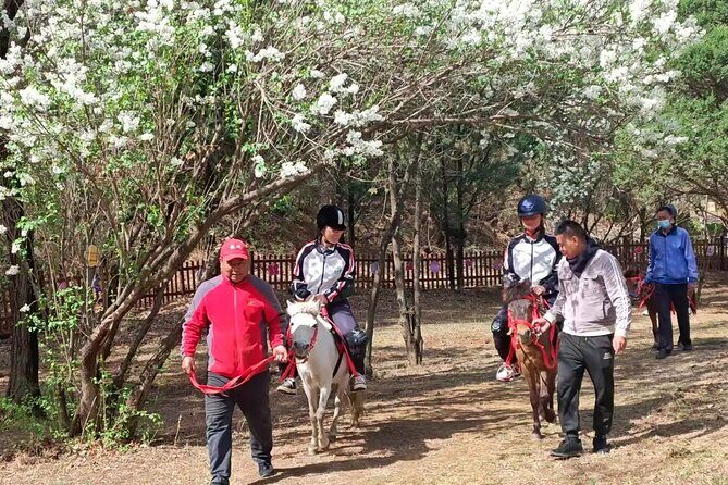 2 Day Beijing Jinshanling Great Wall and Gubei Water Town Tour - The Sum Up: Who Is This Tour Best For?