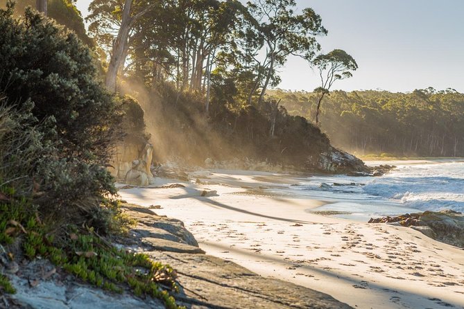 2 Day Bruny Island & Port Arthur Tour From Hobart - Directions