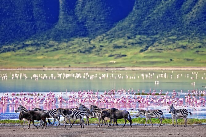 2 Day Budget Safari in Tarangire and Ngorongoro From Arusha - Important Information