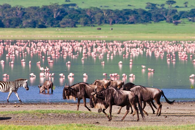 2 Day Budget Tour- Lake Manyara - Ngorongoro Crater From Arusha - Accommodation Details