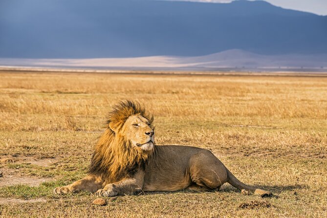 2 Day Budget Tour- Lake Manyara - Ngorongoro Crater From Arusha - Inclusions and Exclusions