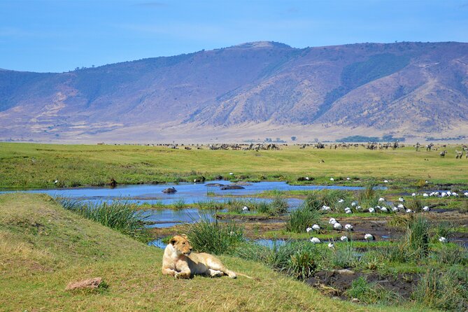 2 Day Budget Tour- Lake Manyara - Ngorongoro Crater From Arusha - Meeting and Pickup Information