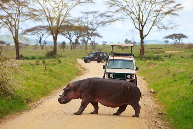 2 Day Budget Tour- Lake Manyara - Ngorongoro Crater From Arusha - Cancellation Policy