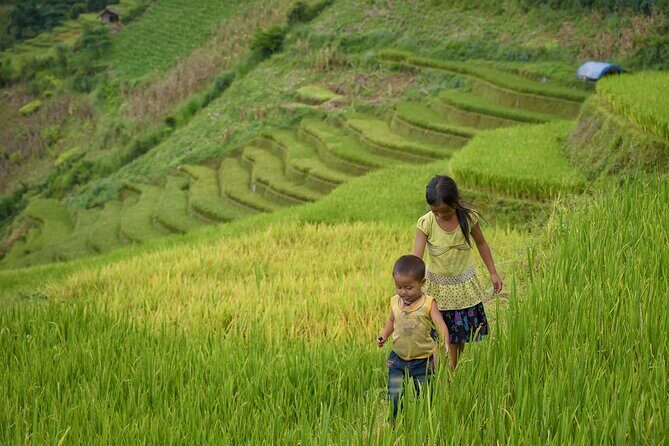 2-Day Buscalan Tour Package to Apo Whang-Od Tattoo Village - Transportation & Logistics