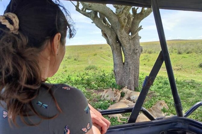 2 Day Camping 4x4 Safari: TARANGIRE & NGORONGORO CRATER - Pricing and Reviews