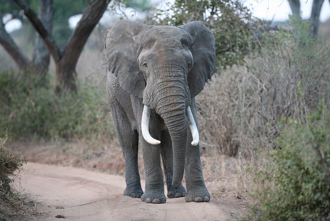 2 Day Camping 4x4 Safari: TARANGIRE & NGORONGORO CRATER - Additional Tips