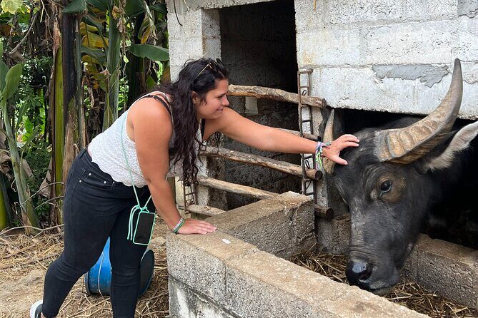 2 Day Cao Bang Trekking in Ban Gioc Waterfall with Crafts Village - A Day-by-Day Breakdown of the Cao Bang Trekking Adventure