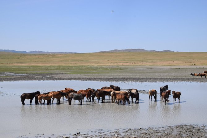 2 Day Central Mongolia - Itinerary Overview