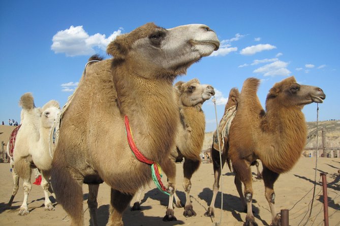 2 Day Central Mongolia - Group Size Limit