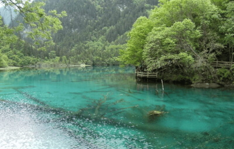 2 Day Chengdu to Jiuzhaigou&Huanglong Self-Guided w/Transfer - Who Should Consider This Tour?