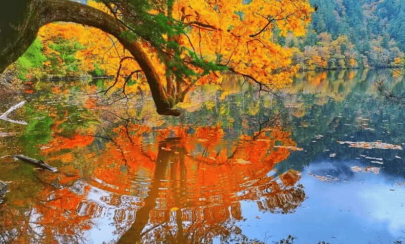 2 Day Chengdu to Jiuzhaigou&Huanglong Self-Guided w/Transfer - FAQs