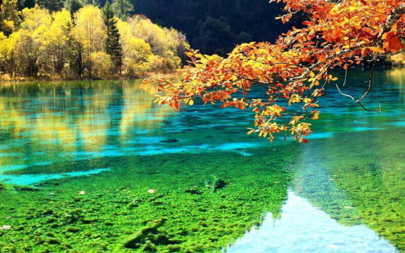 2 Day Chengdu to Jiuzhaigou&Huanglong Self-Guided w/Transfer - Good To Know