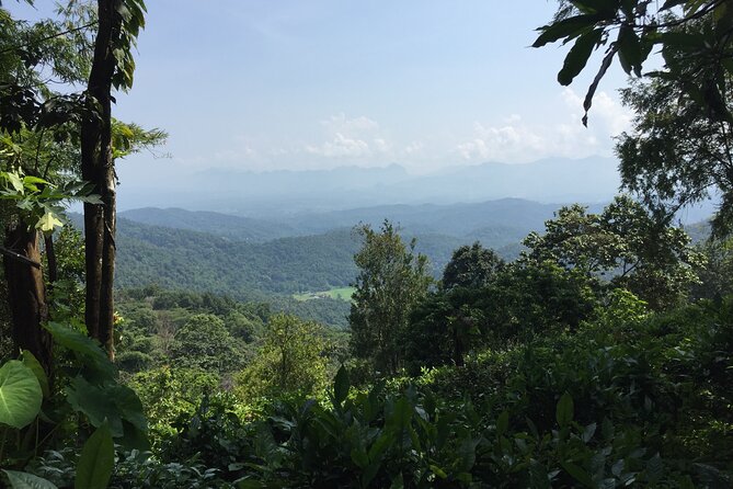 2-Day Chiang Dao and Mae Taeng Valley Active Tour, From Chiang Mai - Traveler Photos and Reviews